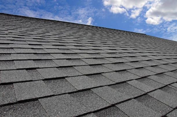 Professional Roofing Service in Lugoff, SC